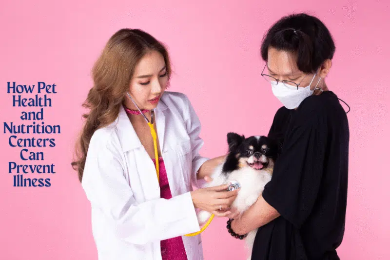 How Pet Health and Nutrition Centers Can Prevent Illness